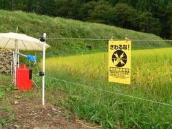 電気さくの写真