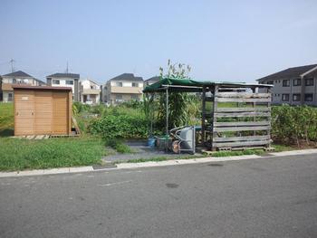 木津いずみ農園写真