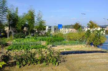 梅の州（うめのくに）ふれあい農園写真