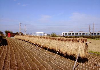 入賞作「秋晴れの朝」の画像