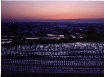 入賞作「交野の夕景」の画像