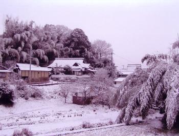 入賞作「氷室・杉地区の里山の冬（雪）景色」の画像