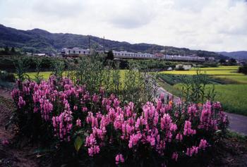 入賞作「初秋の沿線」の画像