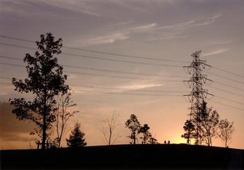 入賞作「秋の夕景」の画像