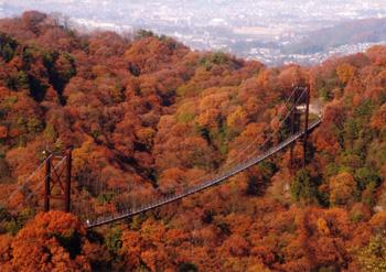 入賞作「星のブランコの秋」の画像
