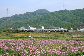 入賞作「れんげ畑」の画像