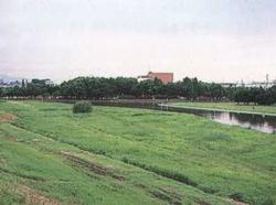 深北緑地の写真