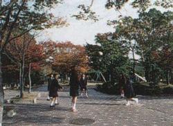 王仁公園の写真