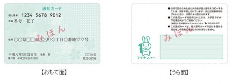 通知カード見本