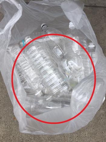 正しく分別されたペットボトルの写真