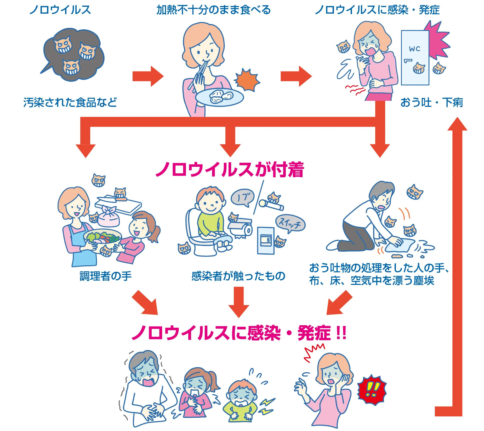 ノロウイルスの感染経路のイラスト