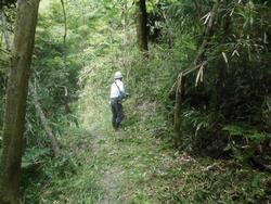 令和4年6月10日の通路整備作業の写真2