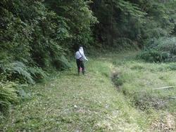 令和4年6月10日の通路整備作業の写真3