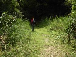 令和4年6月10日の通路整備作業の写真4