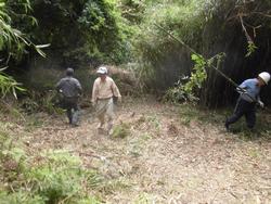 令和4年6月10日の通路整備作業の写真5