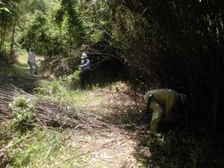令和4年6月10日の通路整備作業の写真6