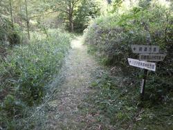 令和4年6月10日の通路整備作業の写真7