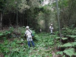 平成28年5月25日の通路整備作業の写真1