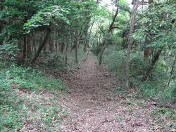 平成28年5月25日の通路整備作業の写真3