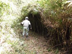 平成28年9月27日の通路整備作業の写真2