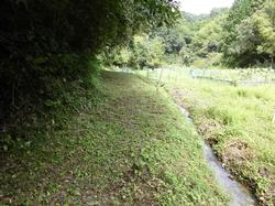 平成28年9月27日の通路整備作業の写真3