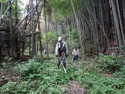 平成29年5月24日の通路整備作業の写真1