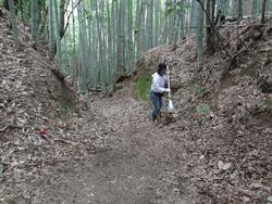 平成29年5月24日の通路整備作業の写真3