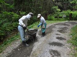 平成29年5月24日の通路整備作業の写真5