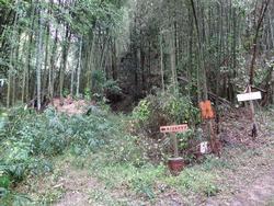 平成29年10月25日の通路整備作業の写真1