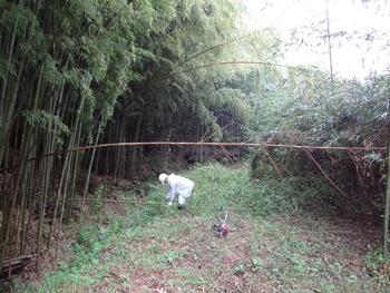 平成29年10月25日の通路整備作業の写真5