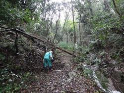 平成29年10月25日の通路整備作業の写真6