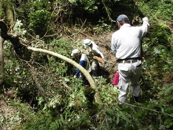 平成30年6月29日の通路整備作業の写真9