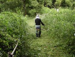 平成30年6月29日の通路整備作業の写真1