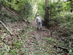 平成30年6月29日の通路整備作業の写真2