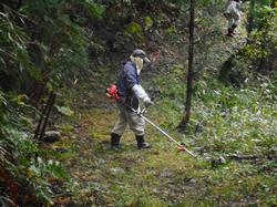 平成30年11月9日の通路整備作業の写真1