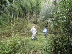 平成30年11月9日の通路整備作業の写真9