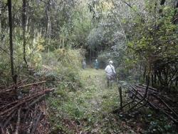 平成30年11月9日の通路整備作業の写真10