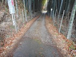 平成31年2月1日の通路整備作業の写真6