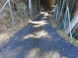 平成31年2月1日の通路整備作業の写真7