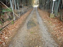 平成31年2月1日の通路整備作業の写真8