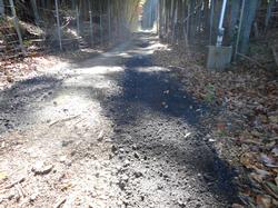 平成31年2月1日の通路整備作業の写真9