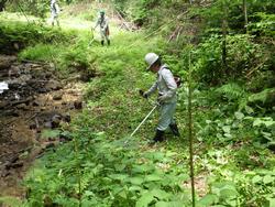 令和元年6月5日の通路整備作業の写真1
