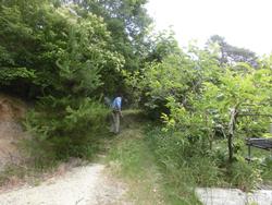 令和元年6月5日の通路整備作業の写真2