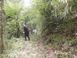 令和元年6月5日の通路整備作業の写真3