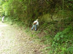 令和元年6月5日の通路整備作業の写真4