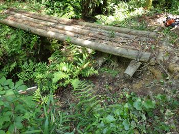 令和元年6月5日の通路整備作業の写真9