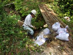 令和元年6月5日の通路整備作業の写真10