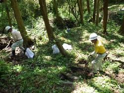 令和元年6月5日の通路整備作業の写真11