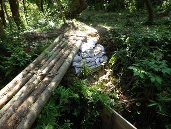 令和元年6月5日の通路整備作業の写真12