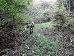 令和元年10月7日の通路整備作業の写真2